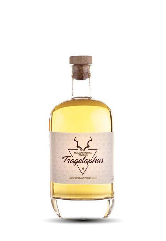 Tragelaphus Gin